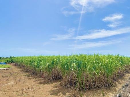 🏛️ 미야코지마 지하댐 자료관(미야코지마치카다무시료칸) 이미지 8